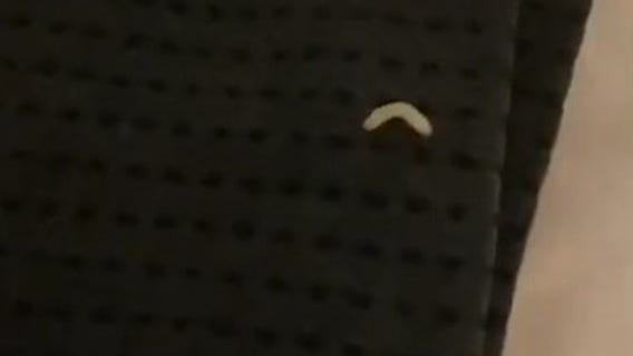 Woman finds maggots on clothes she ordered