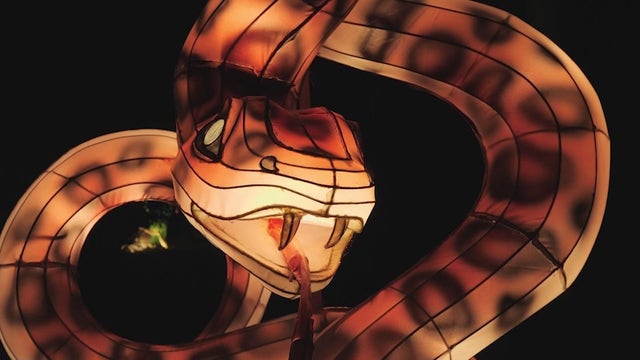 Central Florida Zoo hosts 'Asian Lantern Festival: Into the Wild'