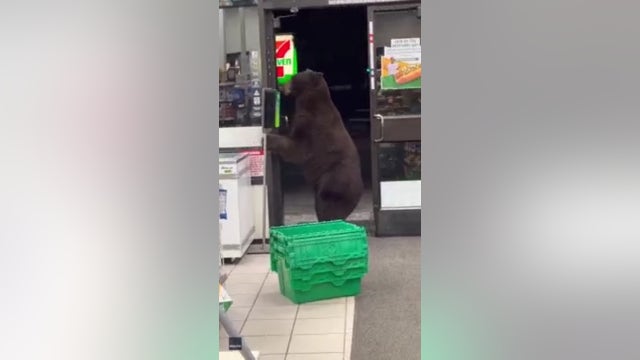 Bear nearly gets squirted with hand sanitizer at 7-Eleven