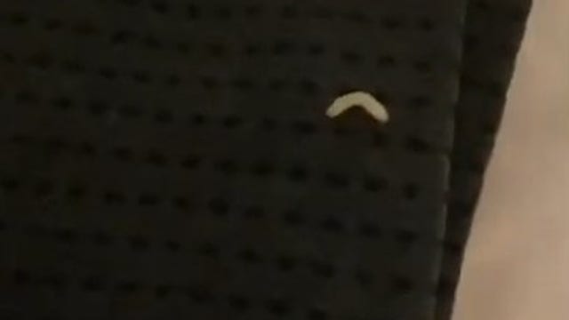 Woman finds maggots on clothes she ordered