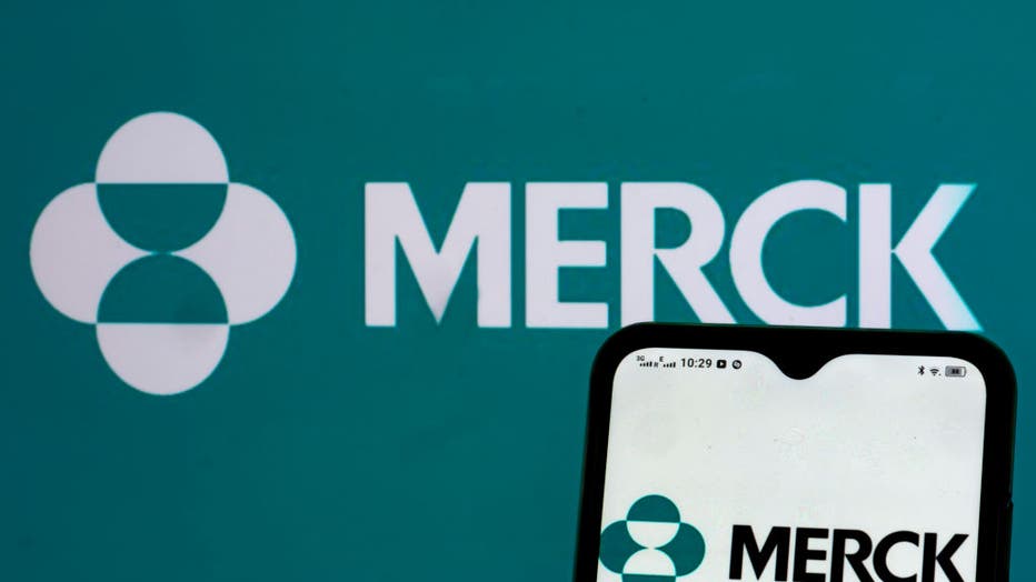 In this photo illustration, a Merck & Co., Inc., logo seen