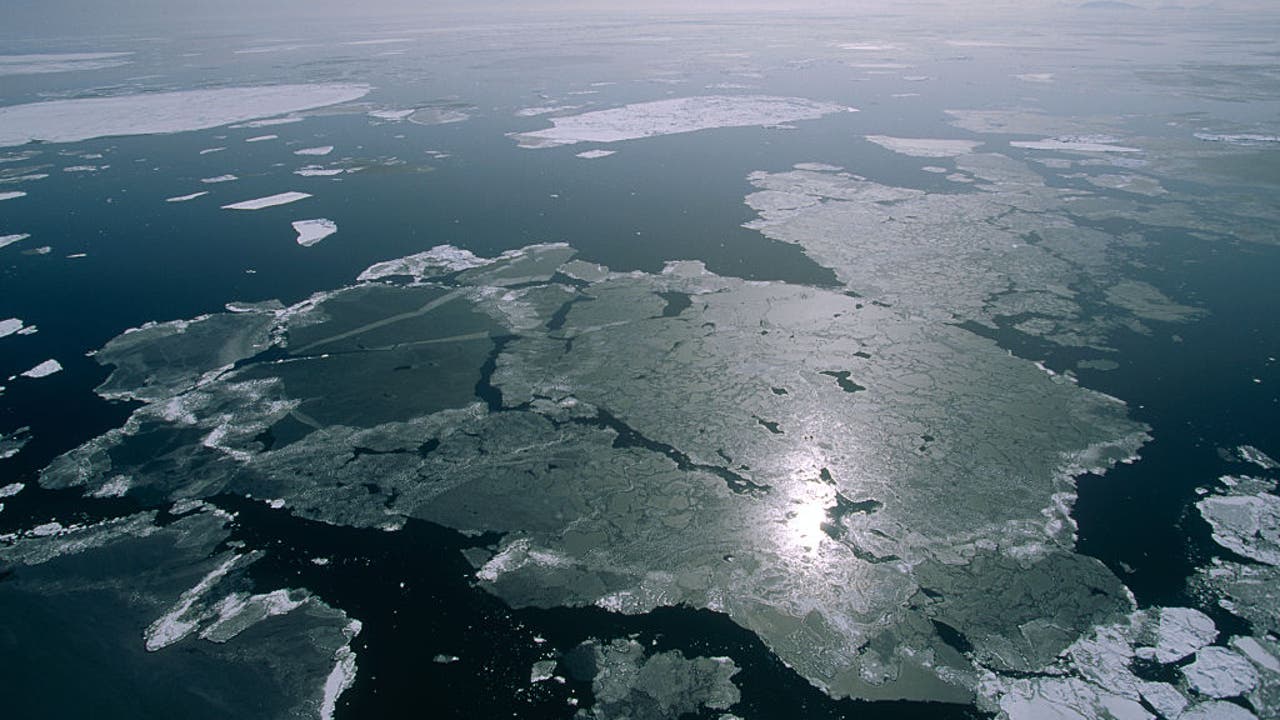 Siberia set arctic heat record in 2020, UN weather agency affirms - Vimarsana News
