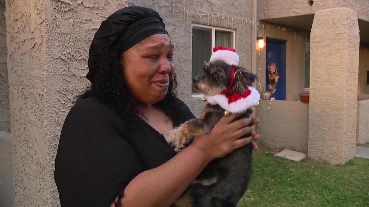 Arizona woman reunited with dog that was found in California desert after 2 years - Vimarsana News