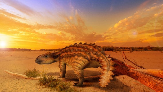 Fossils reveal a new dinosaur species that was the size of dogs