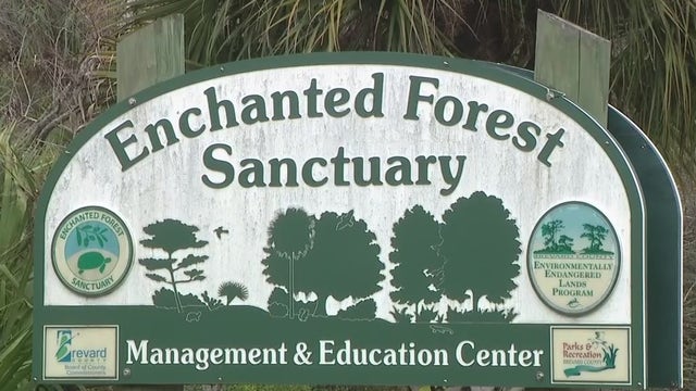 Runner missing from endurance race in Brevard County found alive