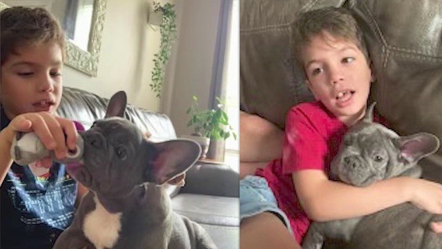 Seminole County family searching for special needs son's comfort dog