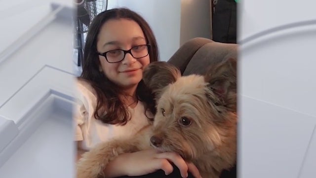 Woman wants answers after dog is mauled to death at Oviedo apartment complex