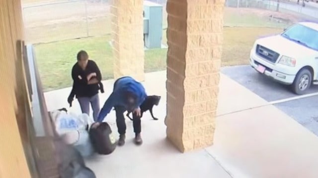 Florida couple abandons dog, 11 puppies at closed shelter, sheriff says