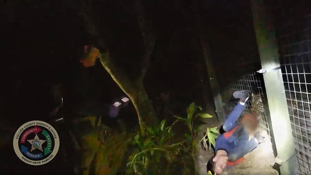 Video: Zoo tiger shot while biting man’s arm as he screams