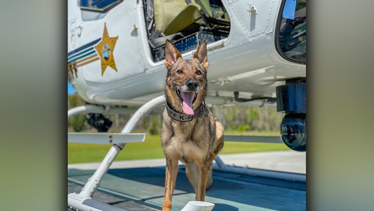 k9-strong-pasco-helicopter2.jpg
