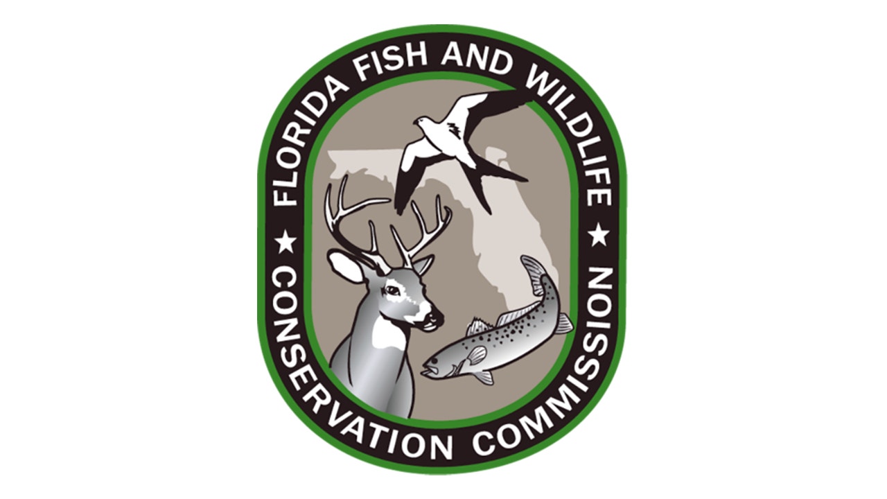 Florida wildlife officials investigate deadly bear shooting in Marion County