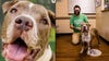 Senior dog gets adopted after spending 200 days at Orlando shelter