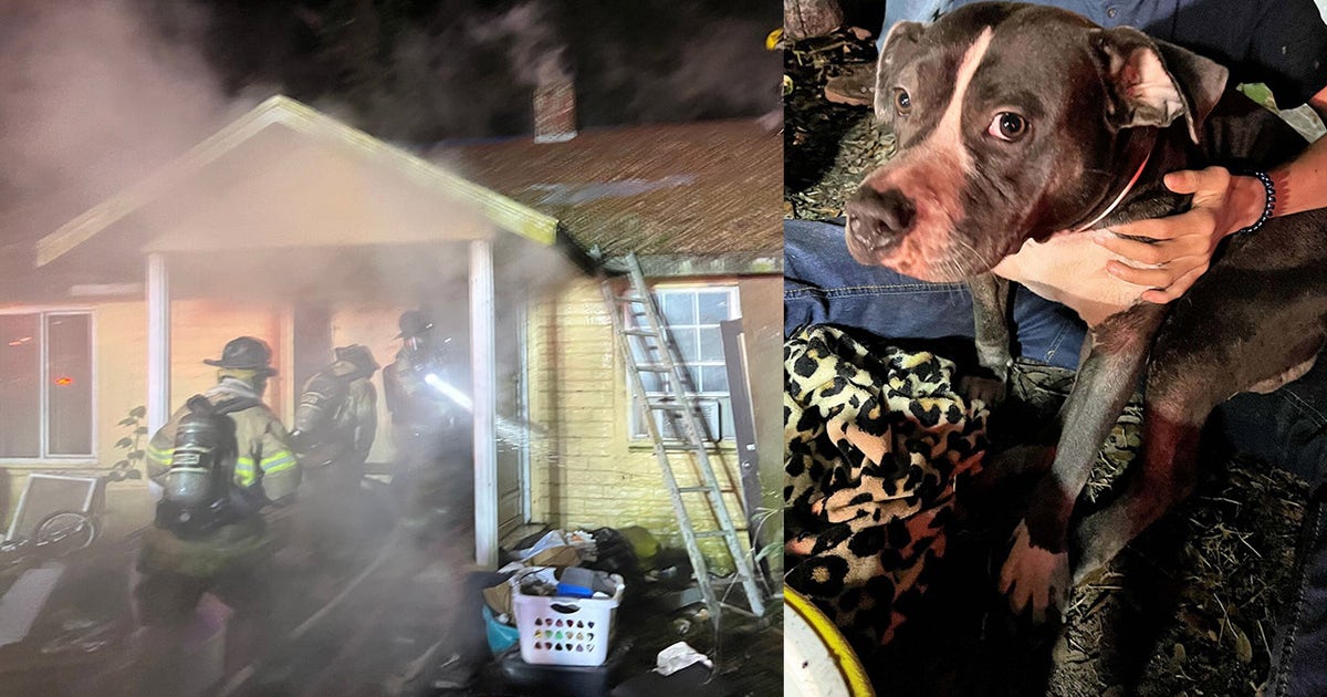 Dog rescued from Marion County house fire | FOX 35 Orlando