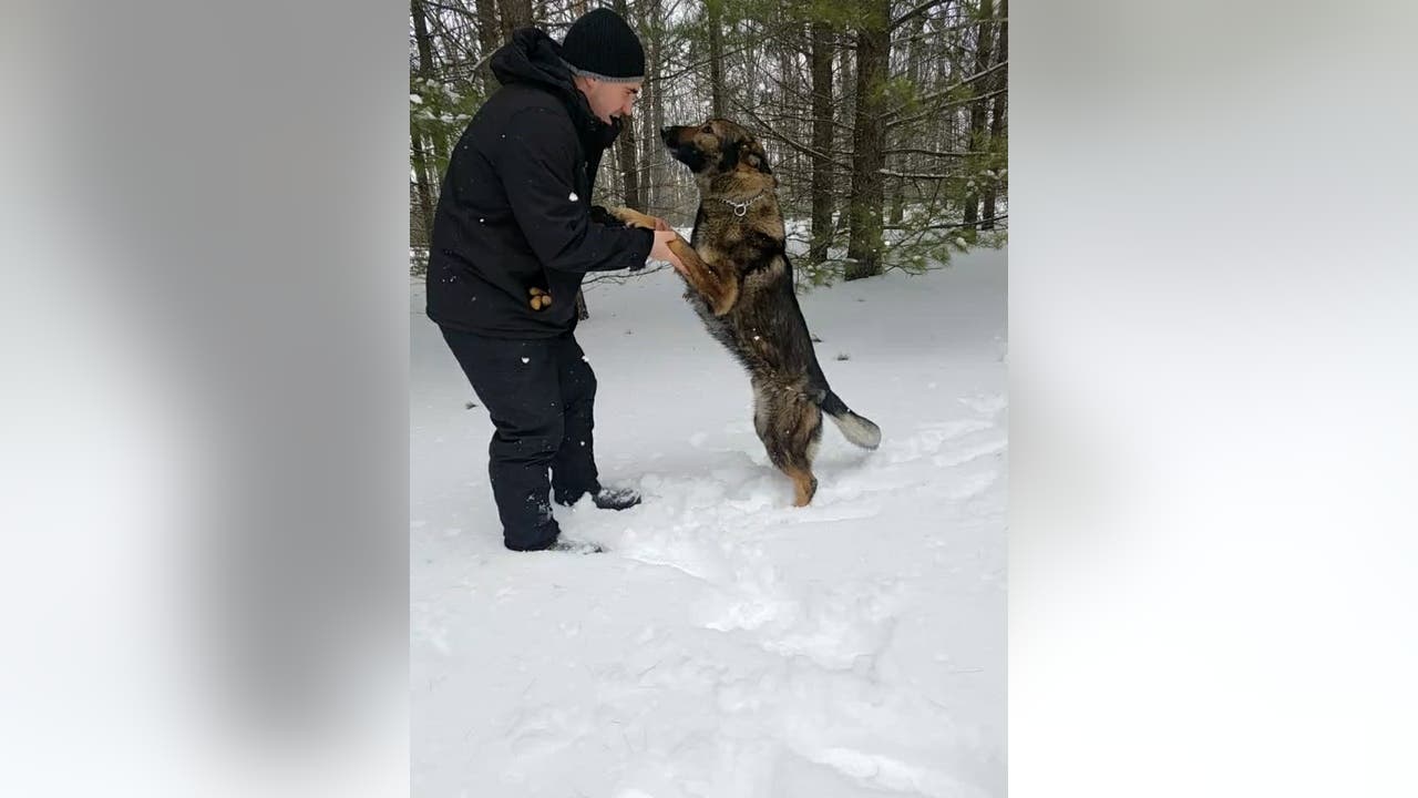 Police dog rescues Pa. man who got lost in frigid woods - Vimarsana News