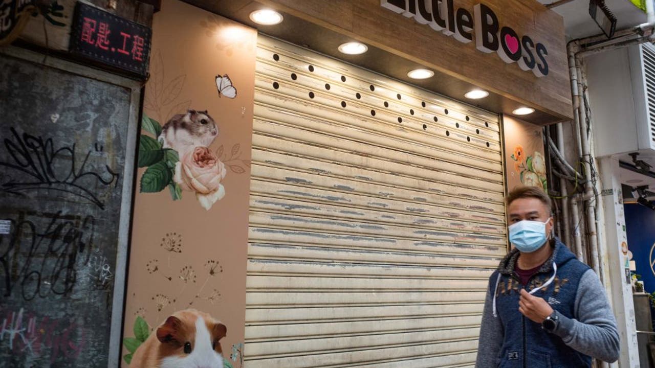 Hong Kong to kill 2,000 animals after pet store hamsters, employee test positive for COVID-19 - Vimarsana News