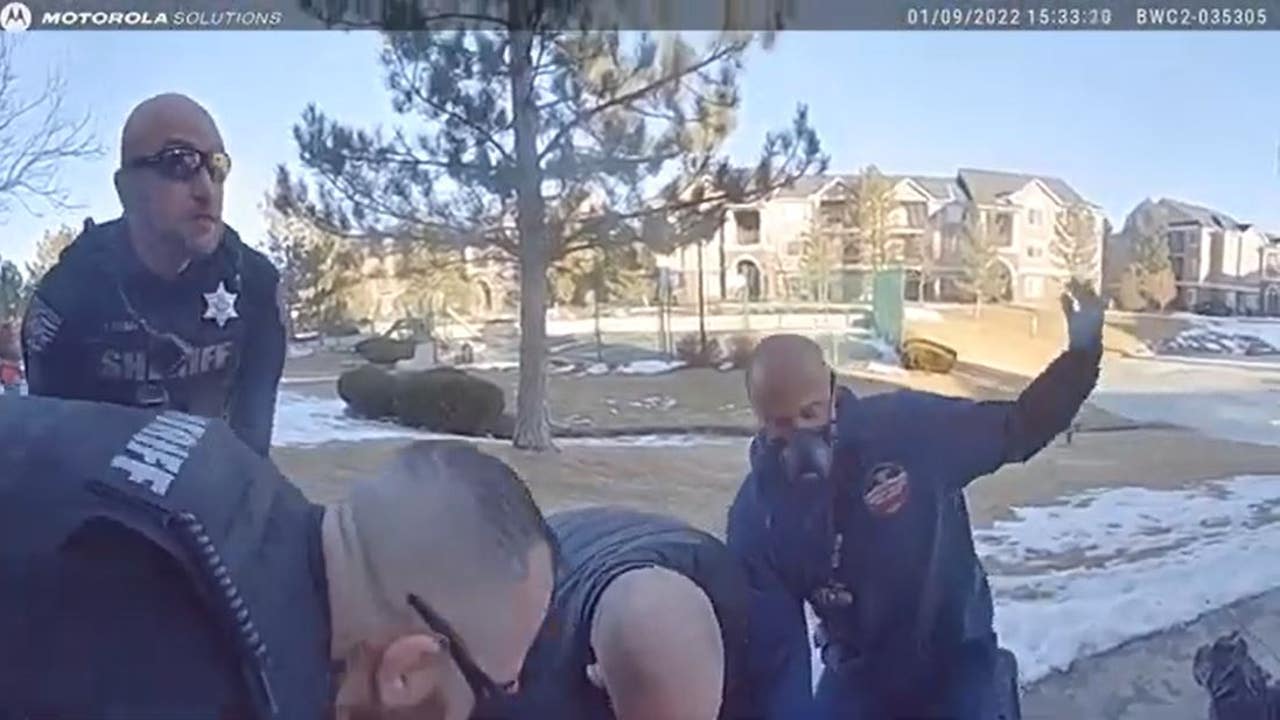 Colorado deputies revive girl, 6, after woman rescues child from icy pond - Vimarsana News