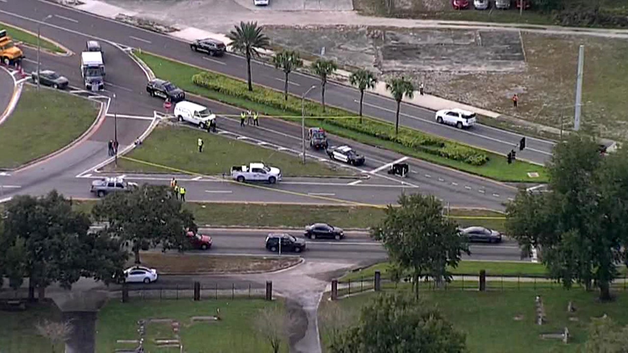 6-year-old fatally struck by pickup truck in Auburndale was possibly out searching for her mom, police say - Vimarsana News