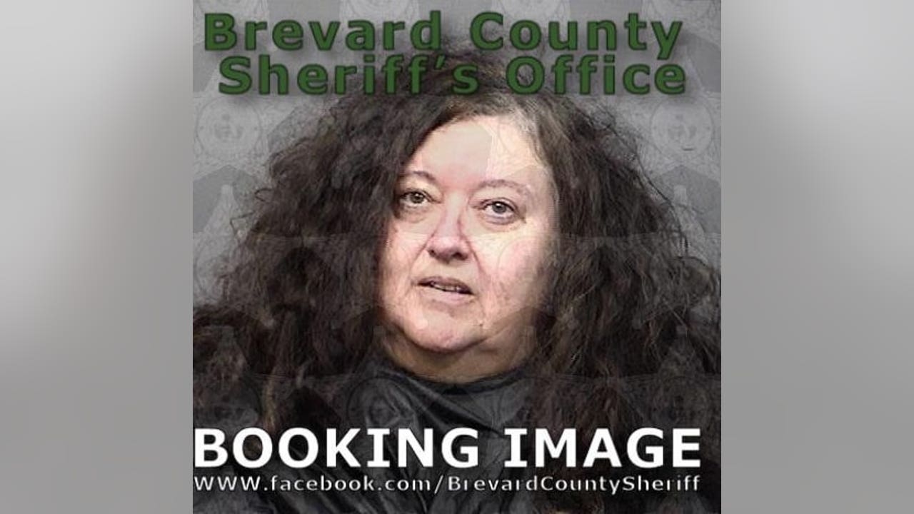 Deputies: Brevard mom accused of voting in 2020 election using son's name - Vimarsana News