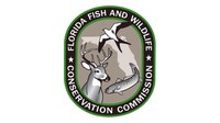 Florida wildlife officials investigate deadly bear shooting in Marion County