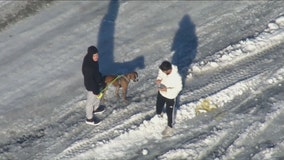 I-95 Virginia shutdown: Stranded drivers walk dogs, run out of food and water