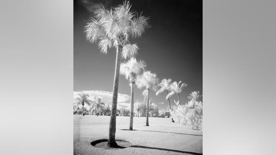 South Florida saw snow 45 years ago. Could it happen again?