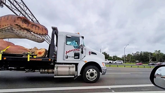 I-4 dinosaur: 'Oh, the things you see in Florida!'