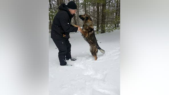 Police dog rescues Pa. man who got lost in frigid woods