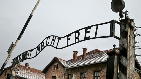 Dutch tourist arrested, fined for Nazi gesture at Auschwitz
