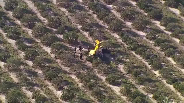 Small plane crashes in Winter Haven orange grove; 2 hospitalized