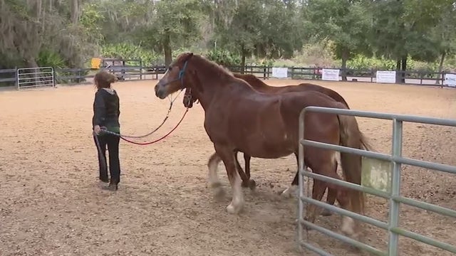 9/11 first responder helping local ranch after discrimination case settled