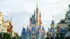 Disney World 'enthusiasts' say trip costs too much for average families, survey shows