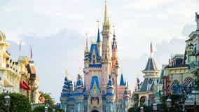 Viral video claims to show family sneaking older child into Disney World using baby stroller