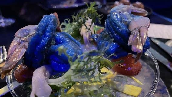 Foods onboard Disney's Star Wars: Galactic Starcruiser