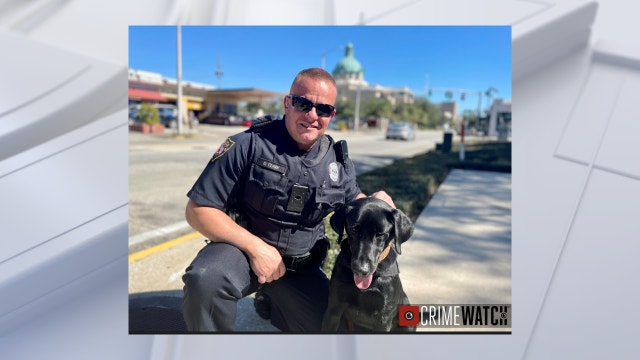 DeLand Police Department welcomes new K-9 'Midnight'