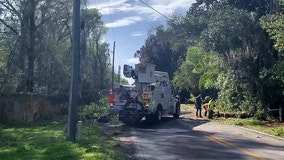 Outages reported in DeLand after storms bring down trees, power lines