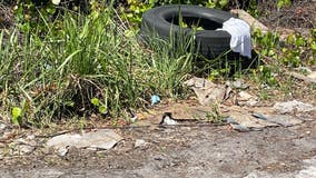 Residents say trashy lot is eyesore in heart of Orlando's tourist district