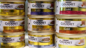 Canned pet food shortage continues amid supply chain woes