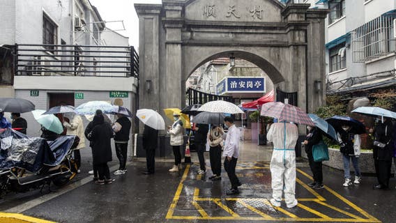 China puts most of Shanghai on COVID-19 lockdown