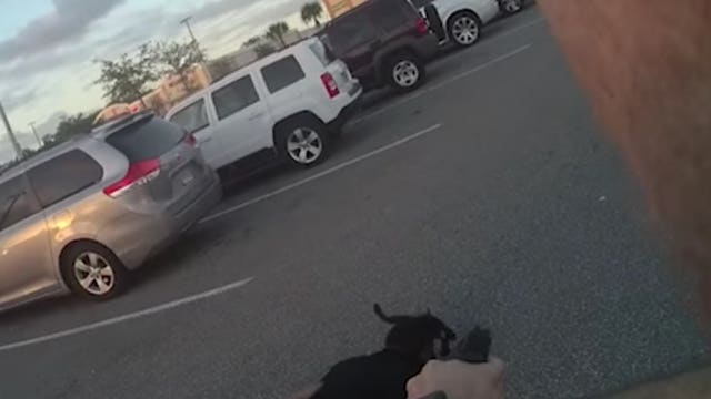 'You're gonna get shot!': Body cam shows chase after armed home invasion in Volusia