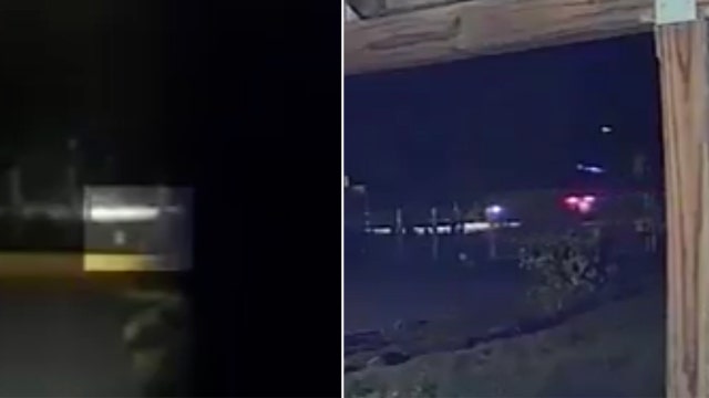 Lakeland owner's pet cat euthanized after unknown person shot it, deputies say