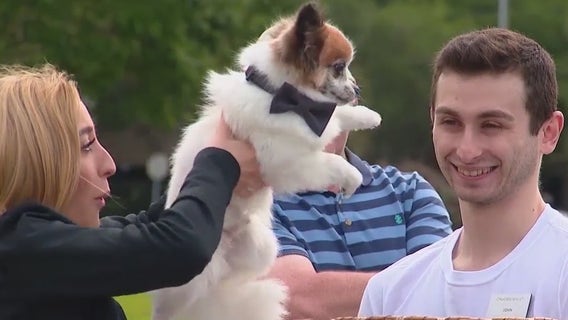 Orlando Ballet holds dog audition for premiere of 'The Great Gatsby'