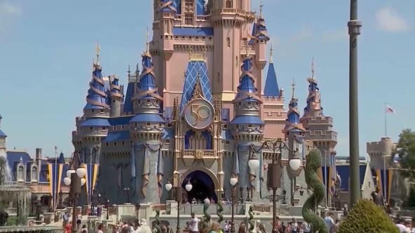 WATCH: Disney World cast member tries to wrangle snake at Magic Kingdom