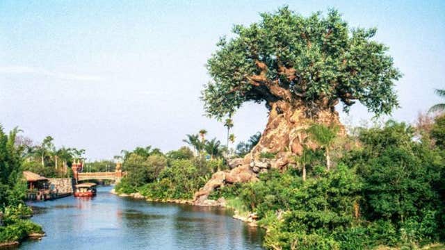 Disney's Animal Kingdom opened 24 years ago today on Earth Day