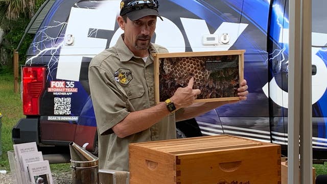 Earth Day 2022: How honey bees are helping the environment