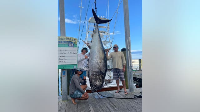 Massive 832-pound bluefin tuna caught off Florida coast
