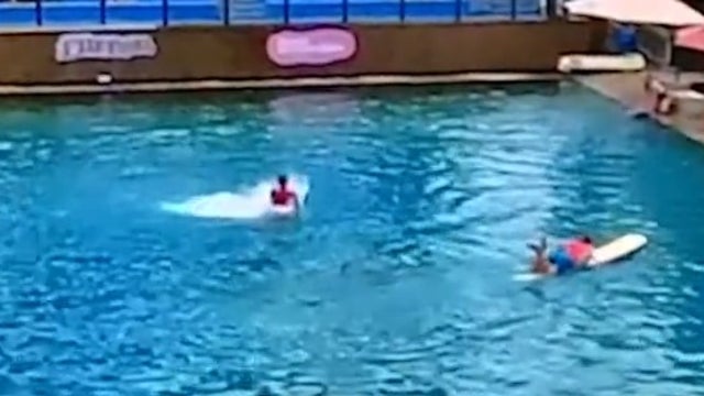 Caught on camera: Dolphin attacks trainer at Miami Seaquarium