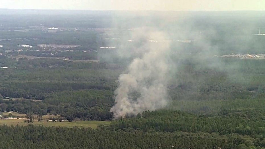 controlled burns (1)