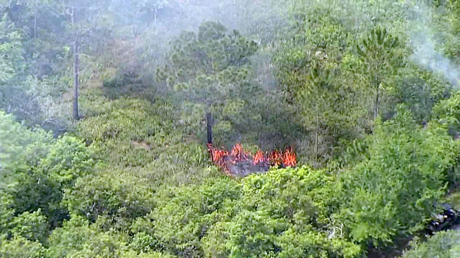 controlled-burns-2.jpg