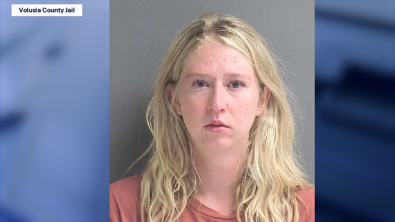 Florida woman charged after 4 dogs found dead inside car - Vimarsana News