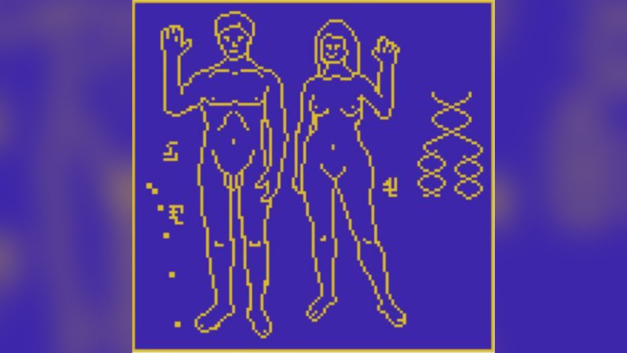 Scientists create message to beam into outer space but say humanity isn't ready yet - Vimarsana News